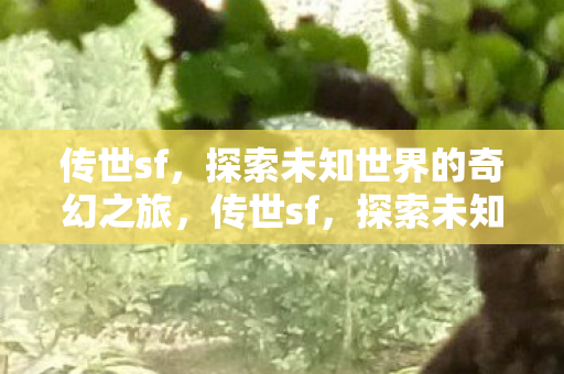 探索未知世界的奇幻之旅图片