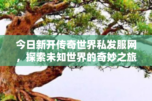 今日新开传奇世界私发服网图片