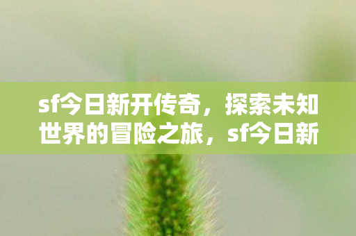 探索未知世界的冒险之旅图片