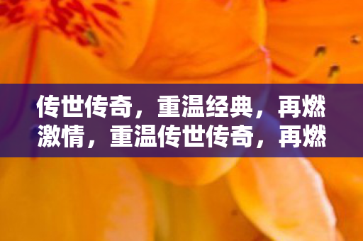 重温传世传奇图片