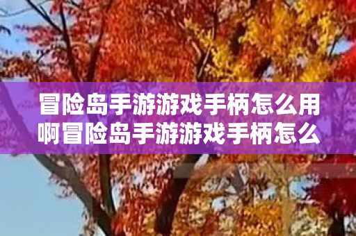 冒险岛手游游戏手柄怎么用啊冒险岛手游游戏手柄怎么用图片