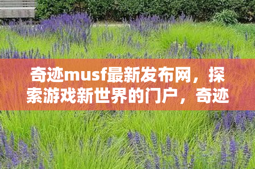 奇迹musf最新发布网图片