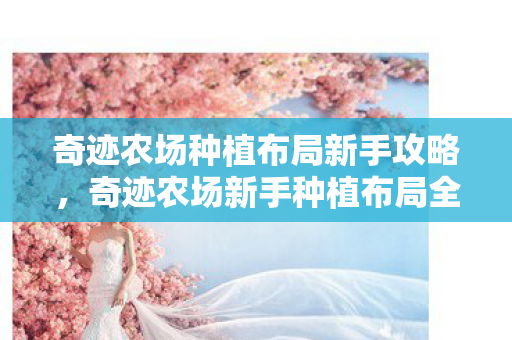 奇迹农场新手种植布局全攻略图片