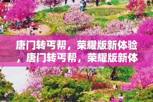 荣耀版新体验图片