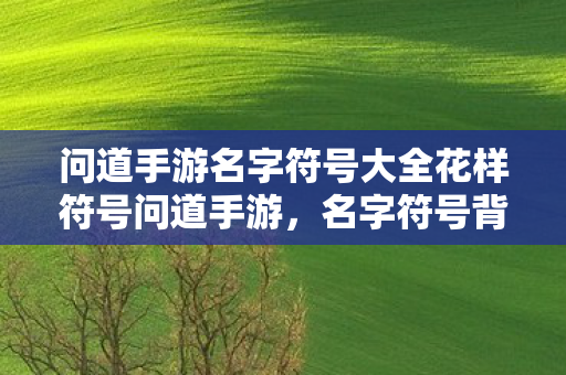 问道手游名字符号大全花样符号问道手游，名字符号背后的故事与意义，问道手游名字符号背后的故事与意义