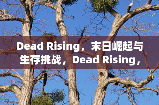 Dead Rising图片