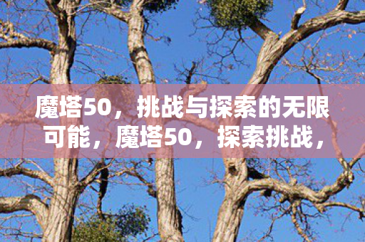 挑战与探索的无限可能图片