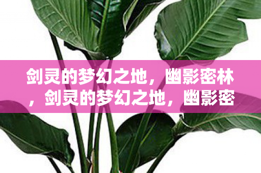 幽影密林的神秘探险图片