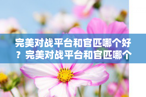 完美对战平台和官匹哪个更好图片