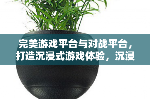 完美游戏平台与对战平台强强联手图片