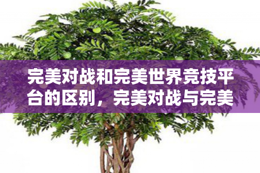完美对战和完美世界竞技平台的区别图片