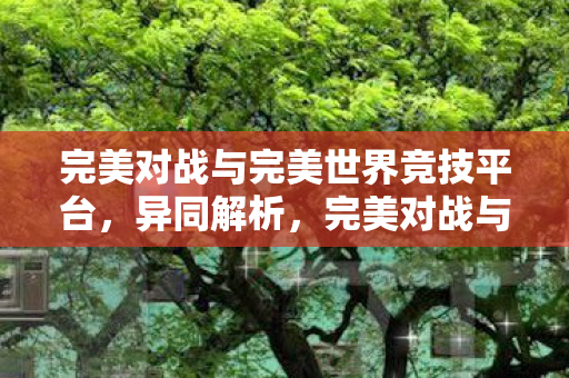 完美对战与完美世界竞技平台异同解析图片