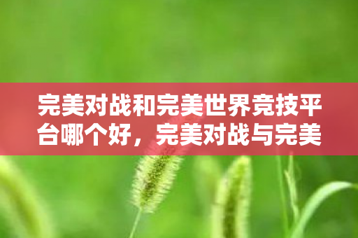 完美对战与完美世界竞技平台对比评测图片