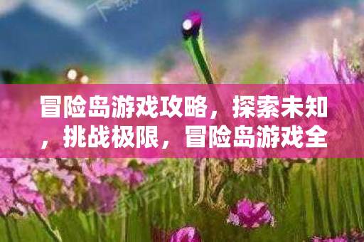 冒险岛游戏全攻略图片