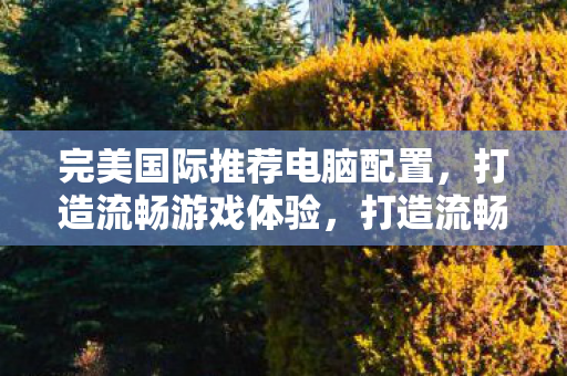 完美国际推荐电脑配置图片