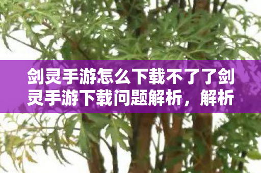 剑灵手游怎么下载不了了剑灵手游下载问题解析,解析,为何无法下载剑灵手游? 剑灵手游怎么下载不了了剑灵手游下载问题解析,解析,为何无法下载剑灵手游?