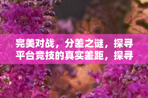探寻平台竞技的真实差距图片