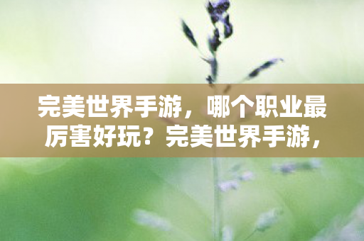 哪个职业最厉害好玩图片