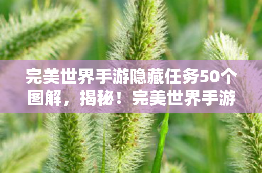 完美世界手游隐藏任务50个图解图片