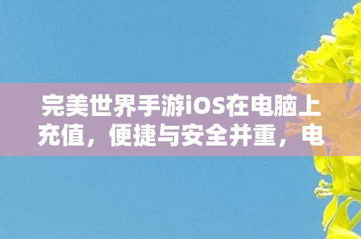 完美世界手游iOS在电脑上充值图片