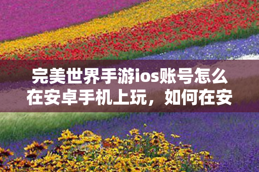 如何在安卓手机上玩完美世界手游的iOS账号图片