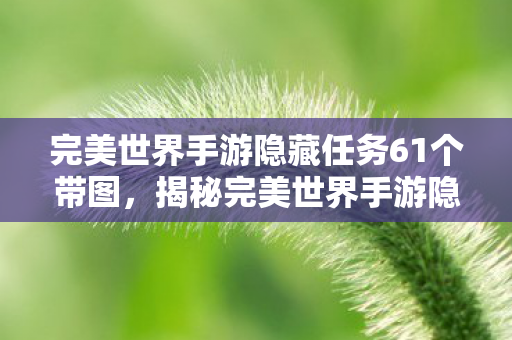 完美世界手游隐藏任务61个带图图片