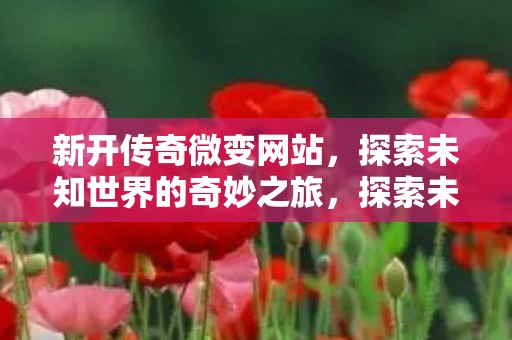 探索未知世界的奇妙之旅图片