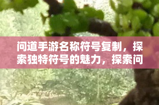 问道手游名称符号复制，探索独特符号的魅力，探索问道手游独特符号的魅力