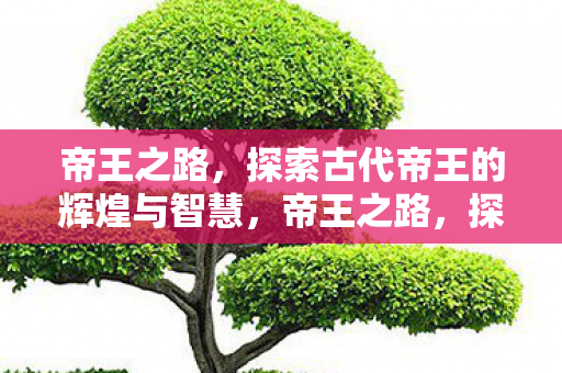 探索古代帝王的辉煌与智慧图片