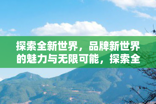 品牌新世界的魅力与无限可能图片