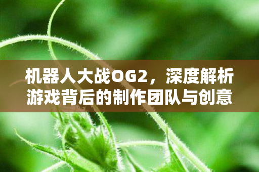 深度解析游戏背后的制作团队与创意图片