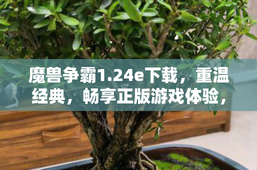 畅享正版游戏体验图片