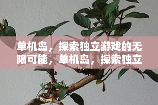 探索独立游戏的无限可能图片