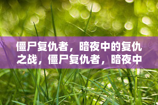 暗夜中的复仇之战图片