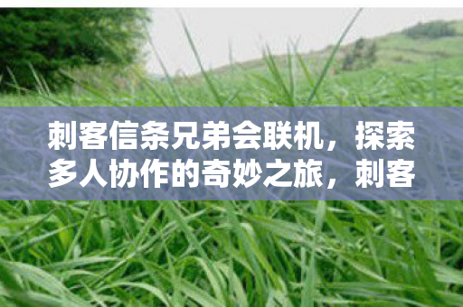探索多人协作的奇妙之旅图片
