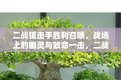 战场上的幽灵与致命一击图片