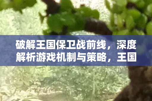 深度解析游戏机制与策略图片