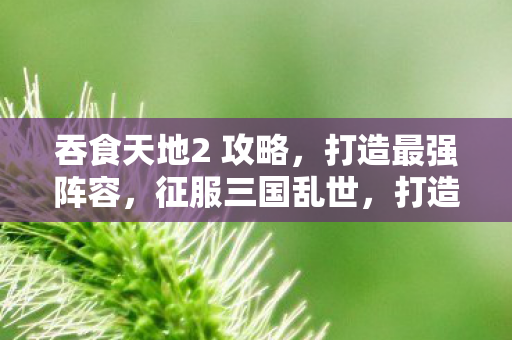 吞食天地2全面攻略图片