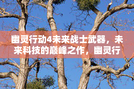 幽灵行动4未来战士武器图片