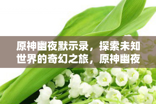 探索未知世界的奇幻之旅图片