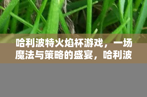 一场魔法与策略的盛宴图片