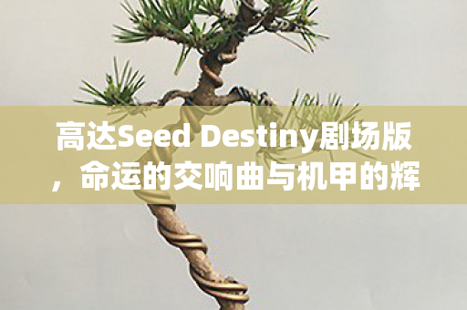 高达Seed Destiny剧场版图片