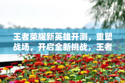 重塑战场开启全新挑战图片