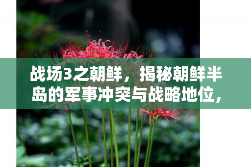 揭秘朝鲜半岛的军事冲突与战略地位图片