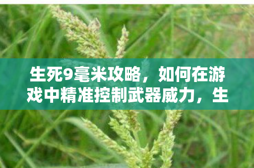 如何在游戏中精准控制武器威力图片