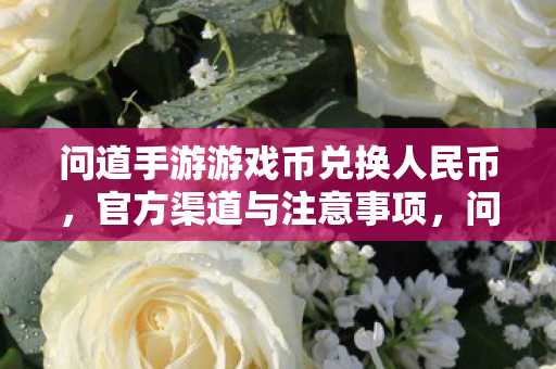 问道手游游戏币兑换人民币,官方渠道与注意事项,问道手游游戏币兑换人民币官方渠道及注意事项 问道手游游戏币兑换人民币,官方渠道与注意事项,问道手游游戏币兑换人民币官方渠道及注意事项