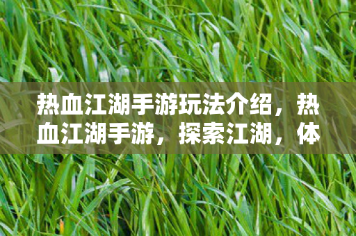 热血江湖手游玩法介绍,热血江湖手游,探索江湖,体验丰富玩法 热血江湖手游玩法介绍,热血江湖手游,探索江湖,体验丰富玩法