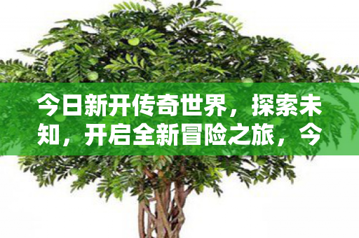 今日新开传奇世界图片