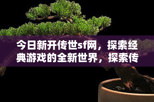 探索经典游戏的全新世界图片