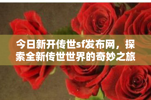 探索全新传世世界的奇妙之旅图片
